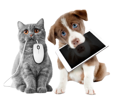 pet registry image